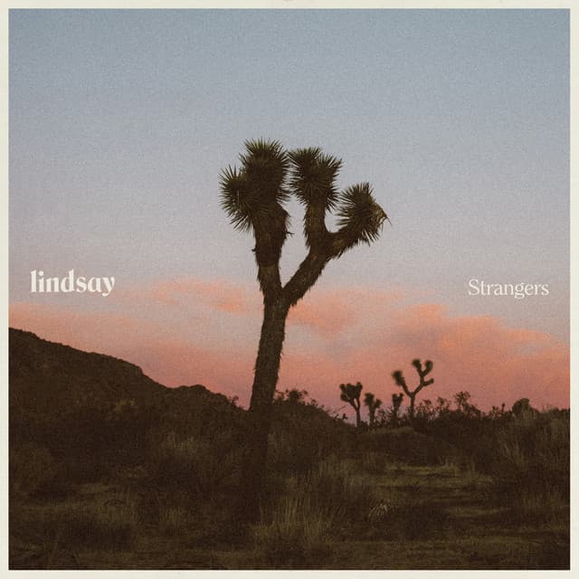 Artwork for Strangers